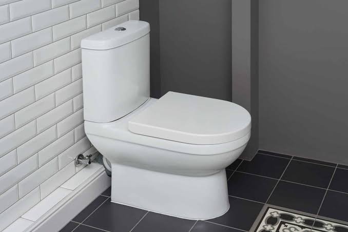 Đóng nắp bồn cầu trước khi xả giúp hạn chế hạt khí dung phát tán