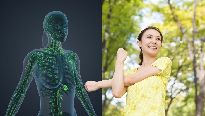 Thường xuyên vận động giúp hệ bạch huyết lưu thông tốt, nâng cao sức đề kháng