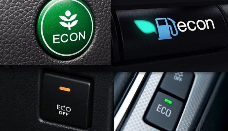 eco tren o to 1.jpeg