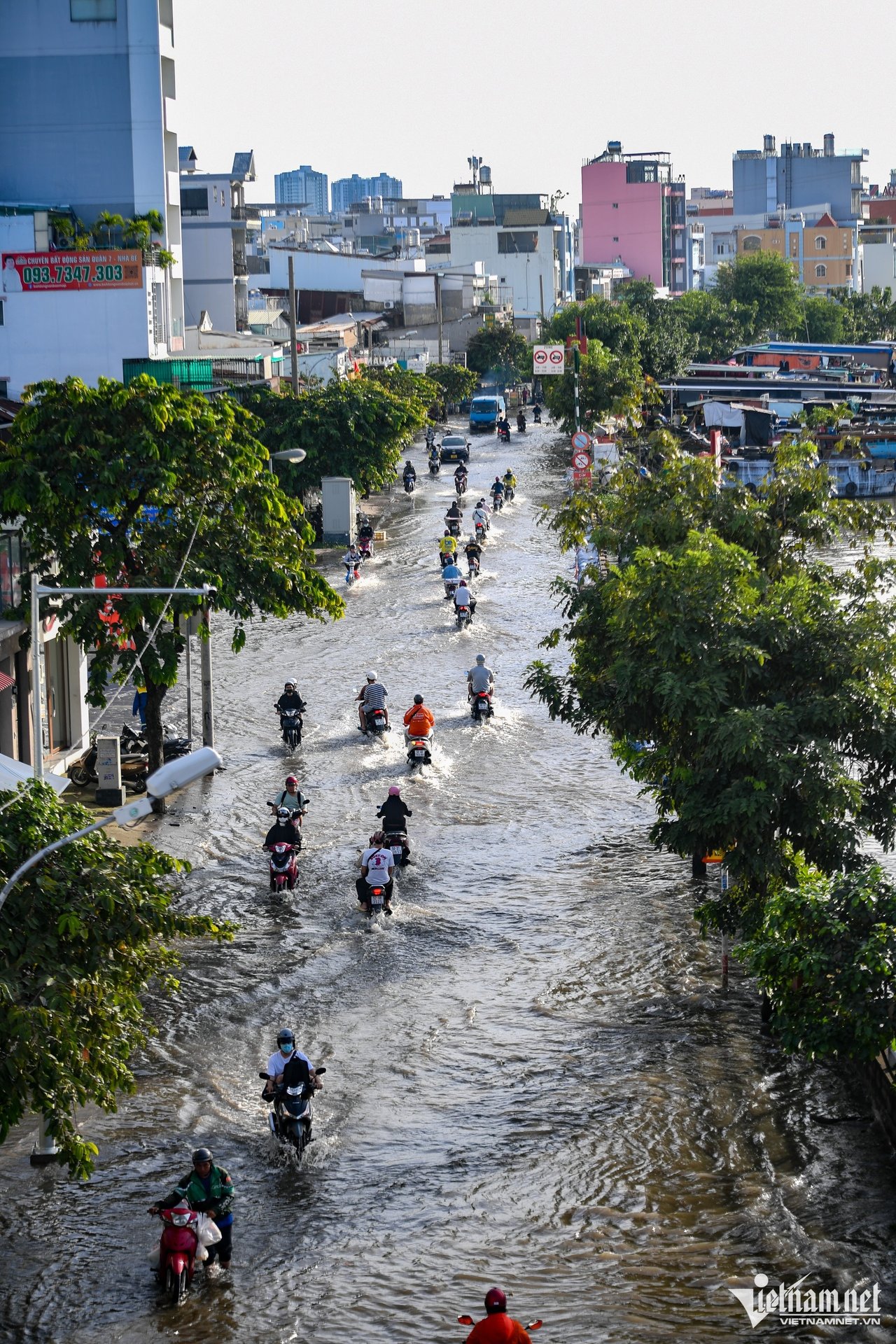 https://static-images.vnncdn.net/vps_images_publish/000001/000003/2026/10/10/w-trieu-cuong-ngap-tphcm-nguyen-hue-3-2055.jpg
