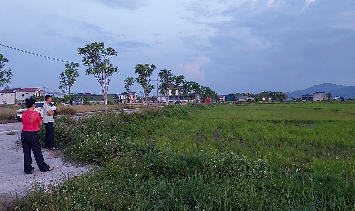 Toàn Lưu.webp