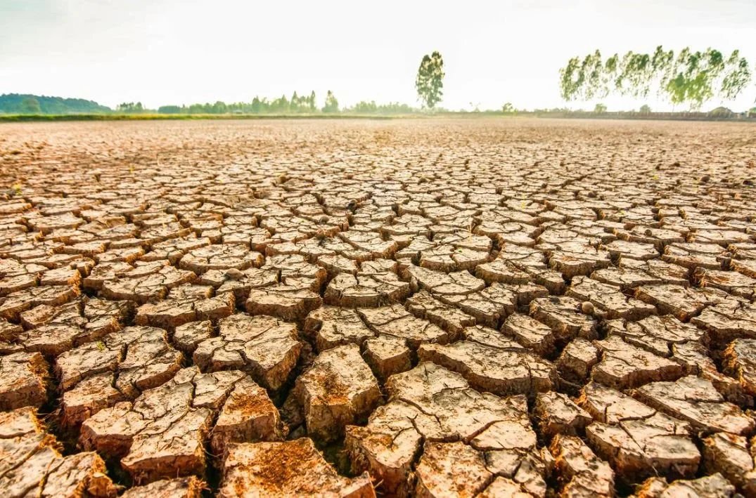 23-1792752721-el-nino-rat-manh-thanh-hoa-canh-bao-nguy-co-12000ha-cay-trong-thieu-nuoc
