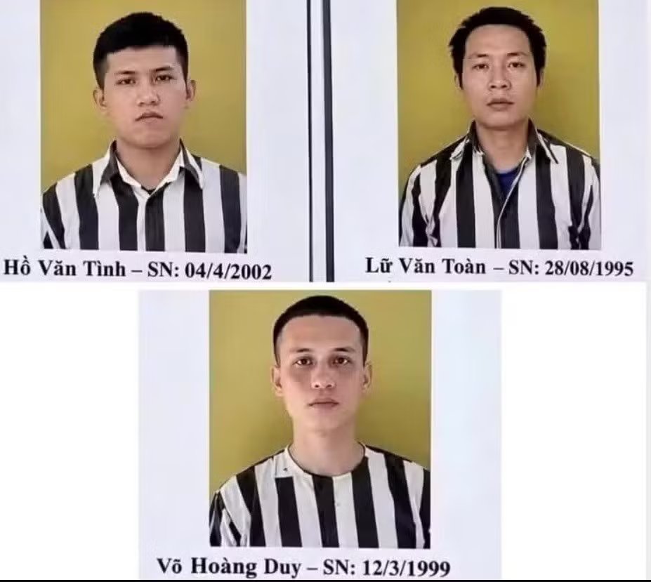 iaia.jpg