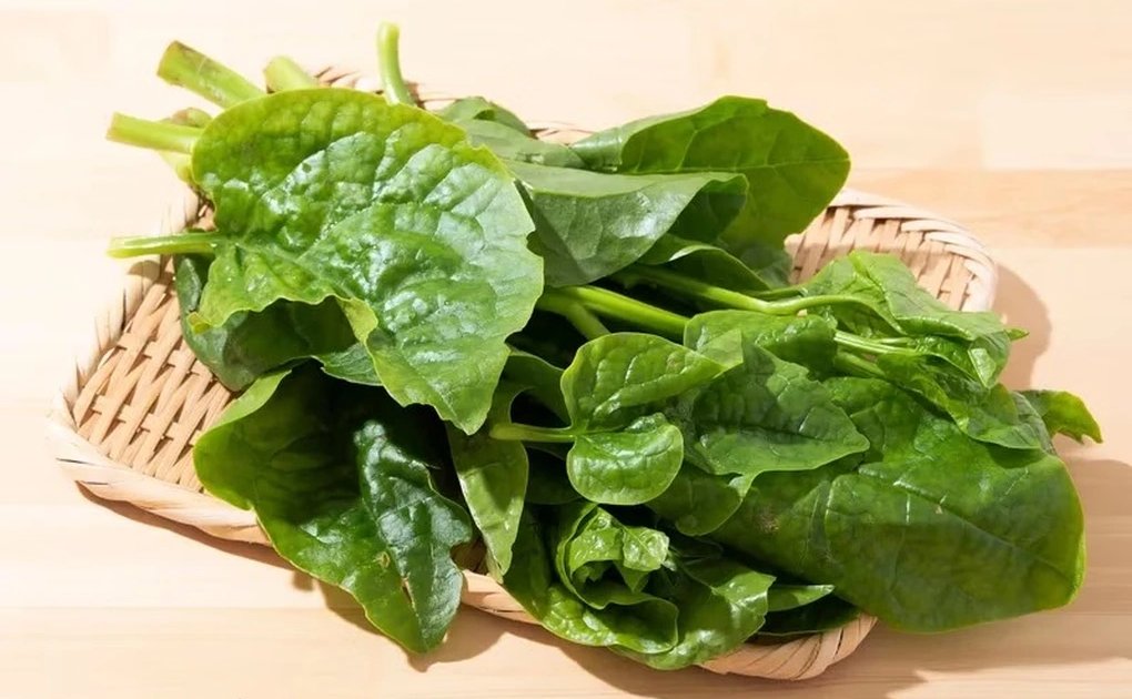 4 loại rau phổ biến rẻ tiền vừa giải nhiệt mùa hè, vừa tăng cường miễn dịch