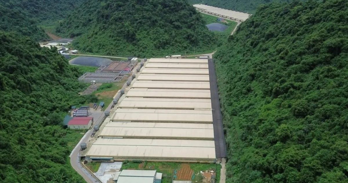 Diễn biến mới vụ tai nạn trang trại lợn ở Thanh Hóa: Thêm 2 công nhân tử vong