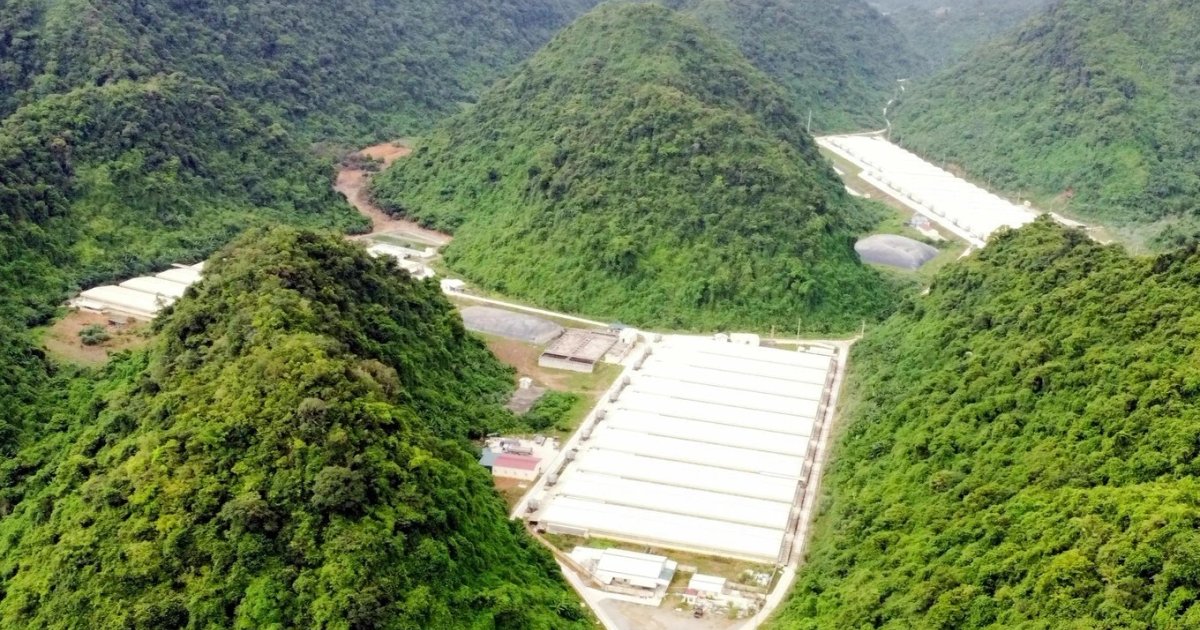 Vụ 7 người thương vong tại trang trại lợn: Doanh nghiệp từng bị xử phạt