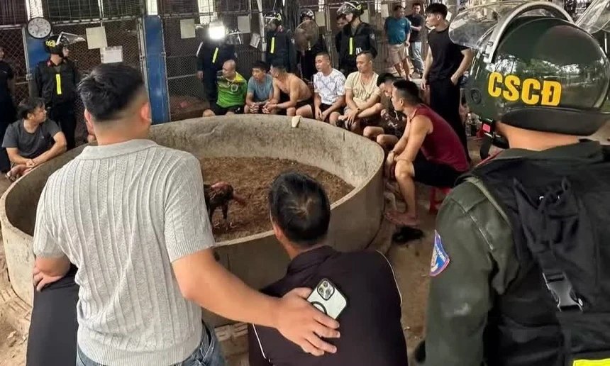 Triệt phá sới đá gà liên tỉnh ở Lạng Sơn, khởi tố 21 đối tượng sát phạt hơn 650 triệu đồng