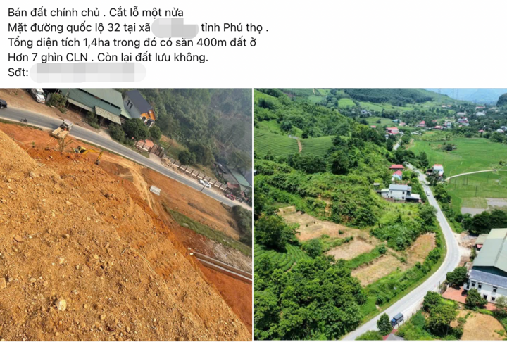 docnhanh.vn