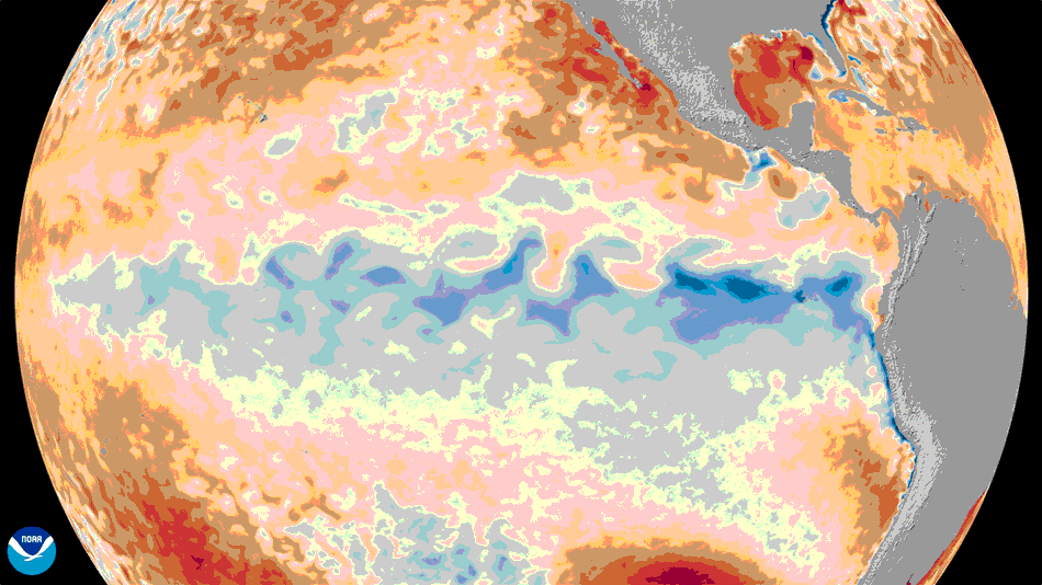 Siêu El Nino có thể mạnh nhất trong gần 100 năm, dự báo đạt đỉnh vào tháng 12