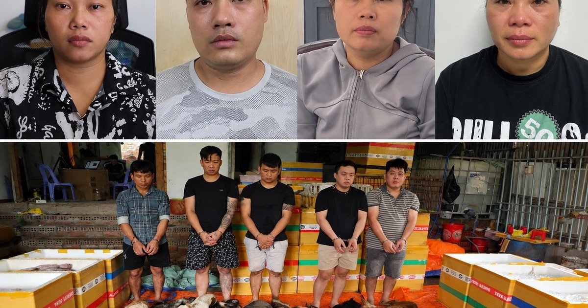 Bắt giữ 4 chủ quán thịt chó ở miền Bắc liên quan đường dây trộm cắp liên tỉnh