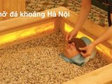 Đọc nhanh bài viết #1036624
