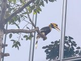 Đọc nhanh bài viết #1038426