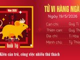 Đọc nhanh bài viết #1172448