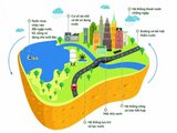 Đọc nhanh bài viết #1172457
