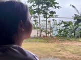 Đọc nhanh bài viết #1180570