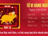 Đọc nhanh bài viết #1181318