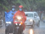 Đọc nhanh bài viết #1181896