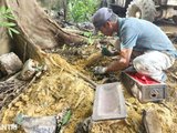 Đọc nhanh bài viết #1181899