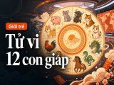 Đọc nhanh bài viết #1182507