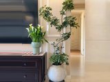 Đọc nhanh bài viết #1182624