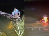 Đọc nhanh bài viết #1183024