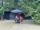 Đọc nhanh bài viết #1184015