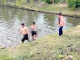 Đọc nhanh bài viết #1184131