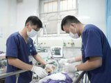 Đọc nhanh bài viết #1184575