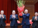 Đọc nhanh bài viết #1184851