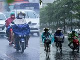 Đọc nhanh bài viết #1185498
