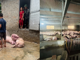 Đọc nhanh bài viết #1185548
