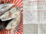 Đọc nhanh bài viết #1185573