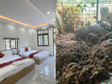 Đọc nhanh bài viết #1186497