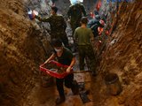Đọc nhanh bài viết #1187105