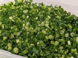 Đọc nhanh bài viết #1187417