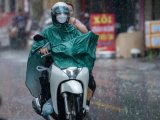 Đọc nhanh bài viết #1187921