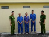 Đọc nhanh bài viết #1188707