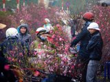 Đọc nhanh bài viết #1188753