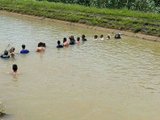 Đọc nhanh bài viết #1189090