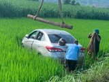 Đọc nhanh bài viết #1189706