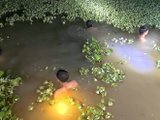 Đọc nhanh bài viết #1190144