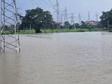 Đọc nhanh bài viết #1190557