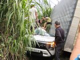 Đọc nhanh bài viết #1190702