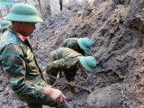 Đọc nhanh bài viết #1191521