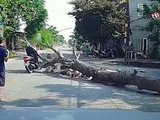 Đọc nhanh bài viết #1192594