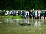 Đọc nhanh bài viết #1192887