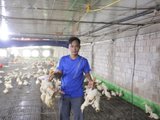 Đọc nhanh bài viết #1193423