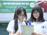 Đọc nhanh bài viết #1193934
