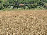 Đọc nhanh bài viết #1194105