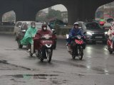 Đọc nhanh bài viết #1194269